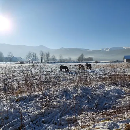 Madekszowka -pokoje Goscinne Ściegny